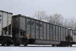 50567